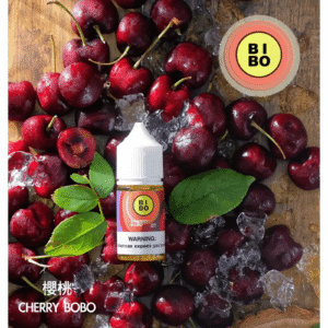 BIBO經典系列電子煙主機小煙油30ML